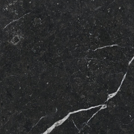 Glasierte Feinsteinzeugfliesen für den Boden, 60 x 120, schwarz mit goldenen Adern, glänzend, rektifiziert, A4H109 Pierre Black #32