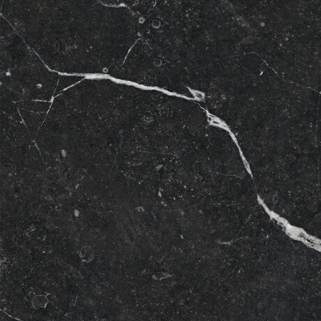 Glasierte Feinsteinzeugfliesen für den Boden, 60 x 120, schwarz mit goldenen Adern, glänzend, rektifiziert, A4H109 Pierre Black #37