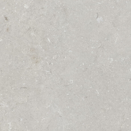Feinsteinzeug für den Boden, 60 x 120 cm, hellgrau, matt, A4H1093 Shellstone Bianco #1