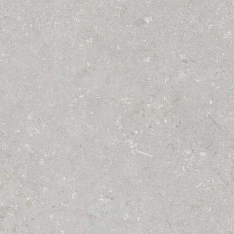 Feinsteinzeug für den Boden, 60 x 120 cm, hellgrau, matt, A4H1093 Shellstone Bianco #4
