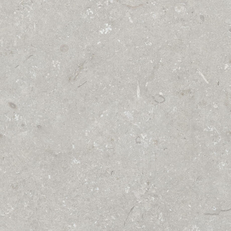 Feinsteinzeug für den Boden, 60 x 120 cm, hellgrau, matt, A4H1093 Shellstone Bianco #5