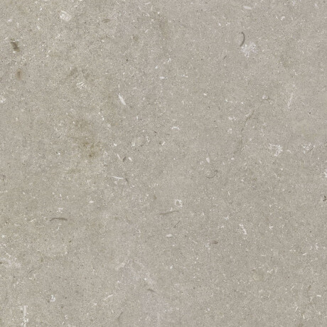 Feinsteinzeug für den Boden, 60 x 120 cm, taupe, matt, A4H1102 Shellstone Taupe #6