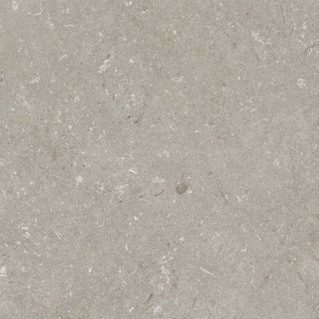 Feinsteinzeug für den Boden, 60 x 120 cm, taupe, matt, A4H1102 Shellstone Taupe #7