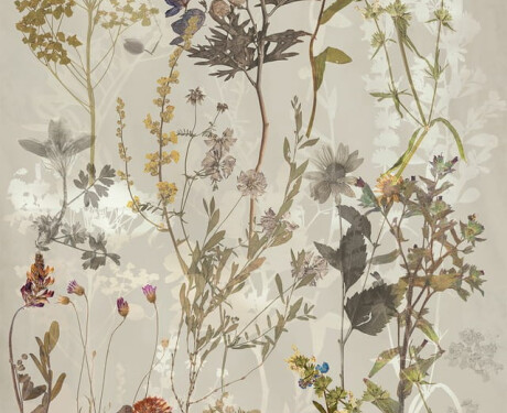 Wandfliesen 60 x 120 cm, grau mit Blumenmustern, matt, A4H919 Glame