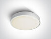 RAFTI AN Deckenleuchte 24 W, 3000 K, IP65, Anthrazit