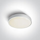 RAFTI AN Deckenleuchte 24 W, 3000 K, IP65, Anthrazit #1