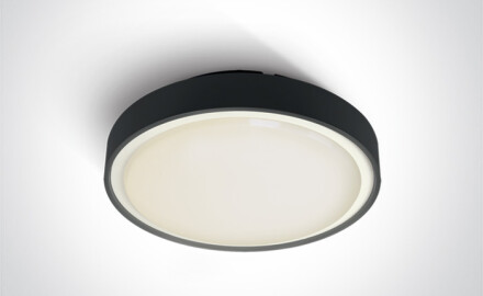 RAFTI E Deckenleuchte 12 W, IP65, Anthrazit