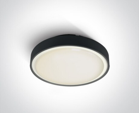 RAFTI E Deckenleuchte 12 W, IP65, Anthrazit