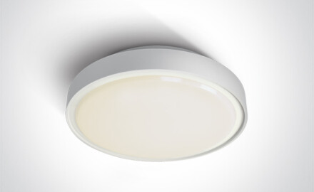 RAFTI E Deckenleuchte 12 W, IP65, grau