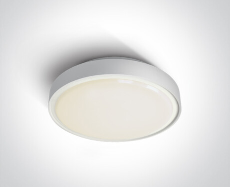 RAFTI E Deckenleuchte 12 W, IP65, grau