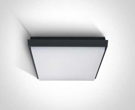 FASIDERI Deckenleuchte 20 W, 3000 K, IP54, weiß